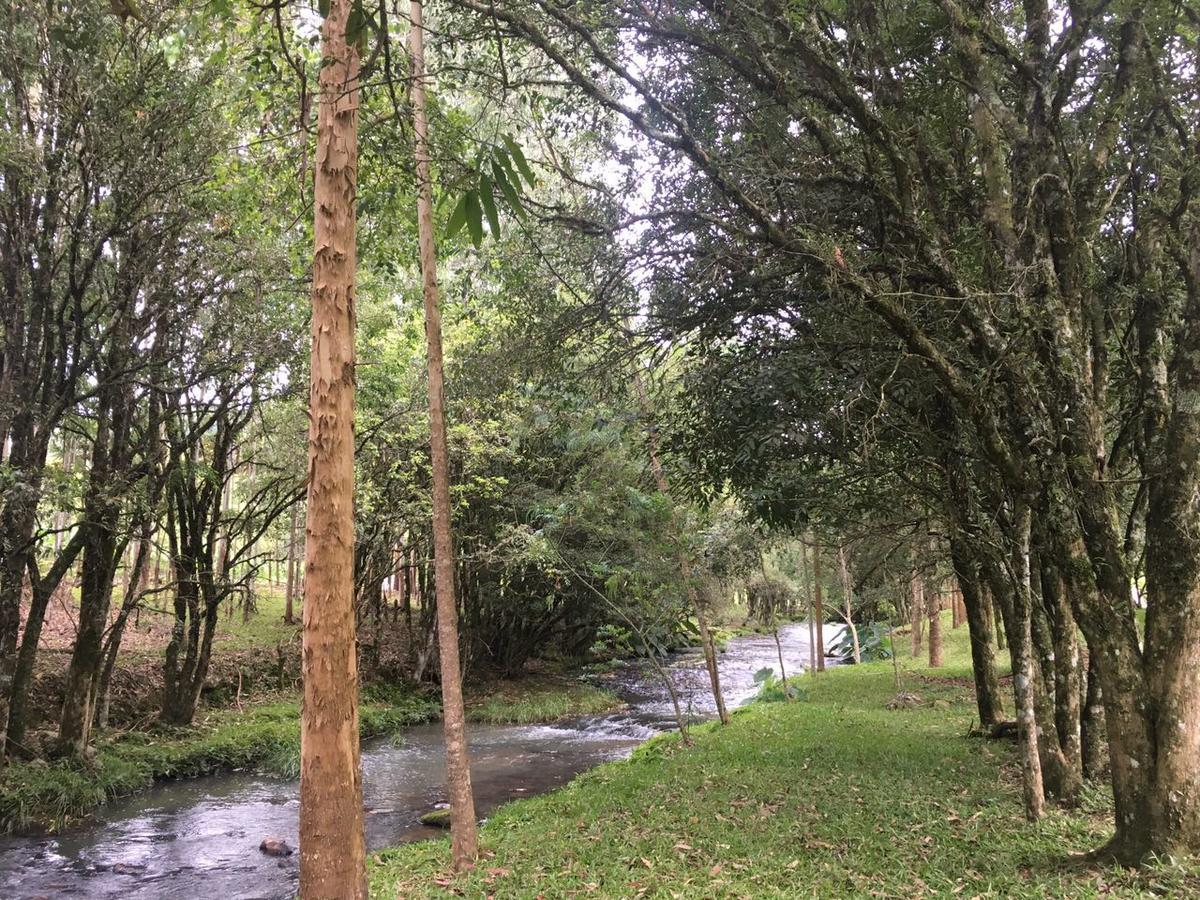 Cabana No Campo Caminho Do Salto Ventoso فاروبيلا المظهر الخارجي الصورة